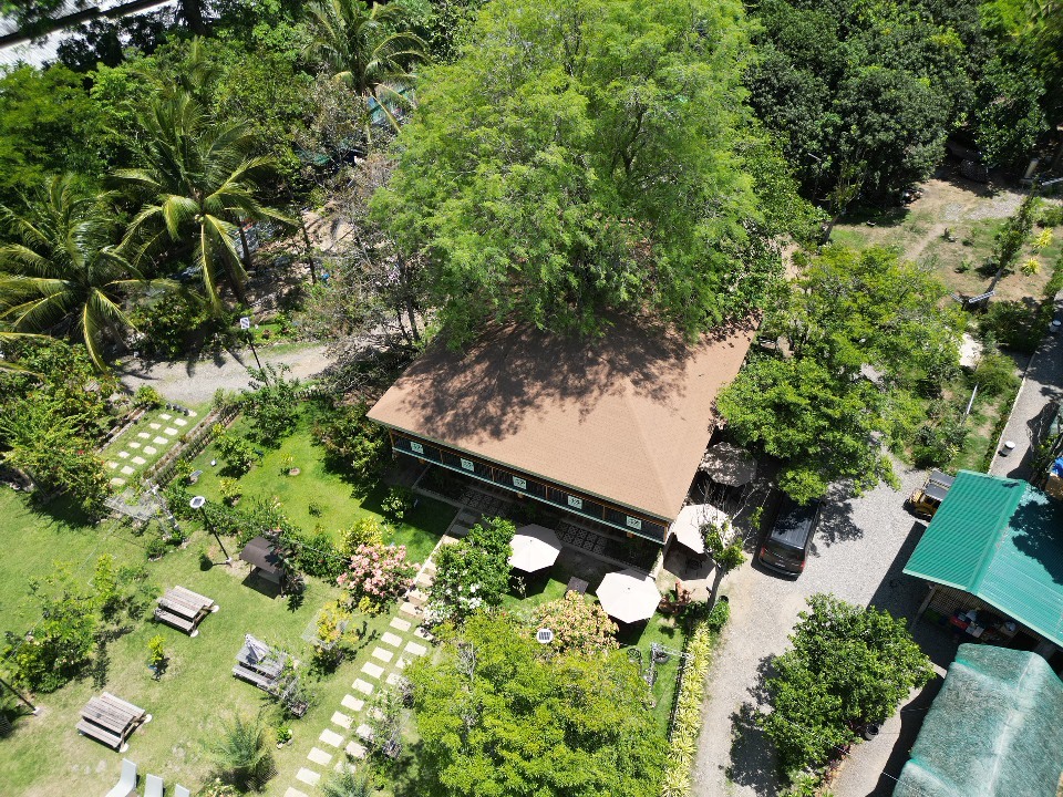DJI_0559