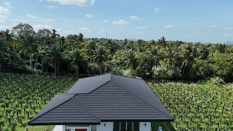 DJI_20260122120157_0016_D